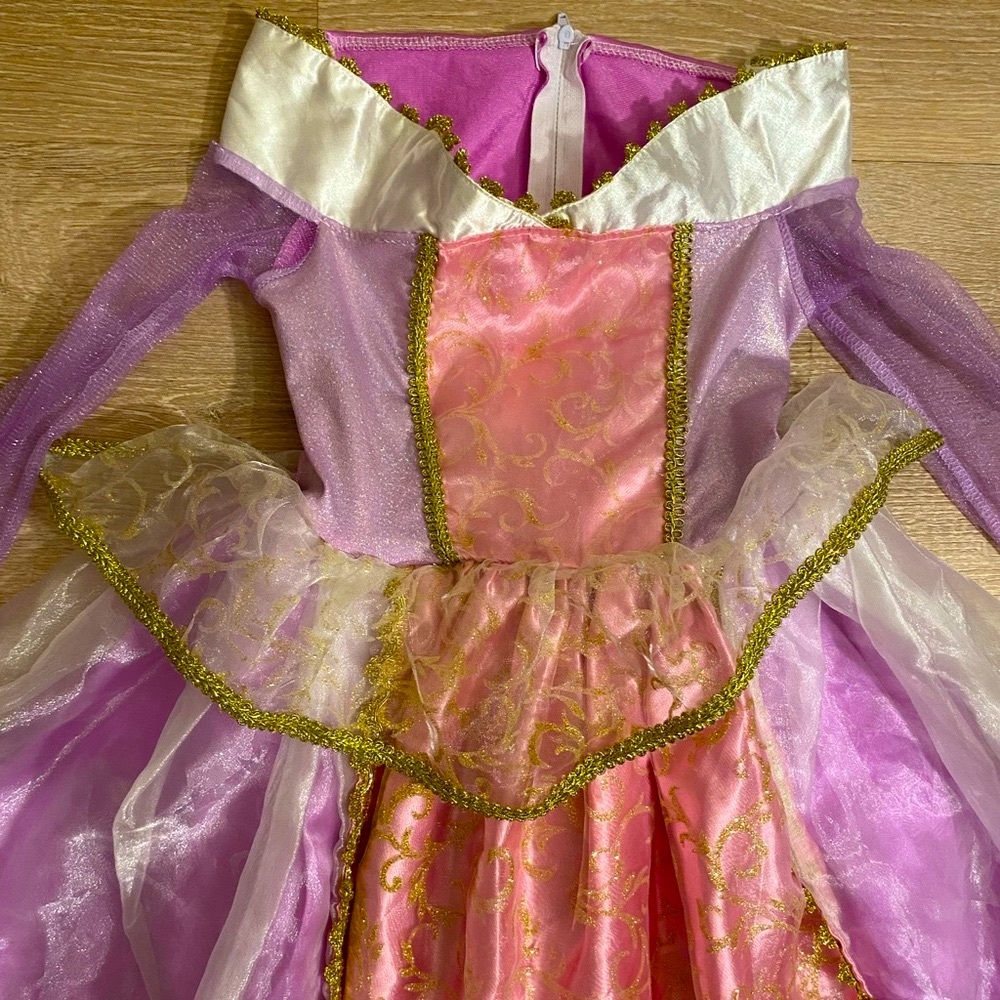Sleeping beauty Aurora dress